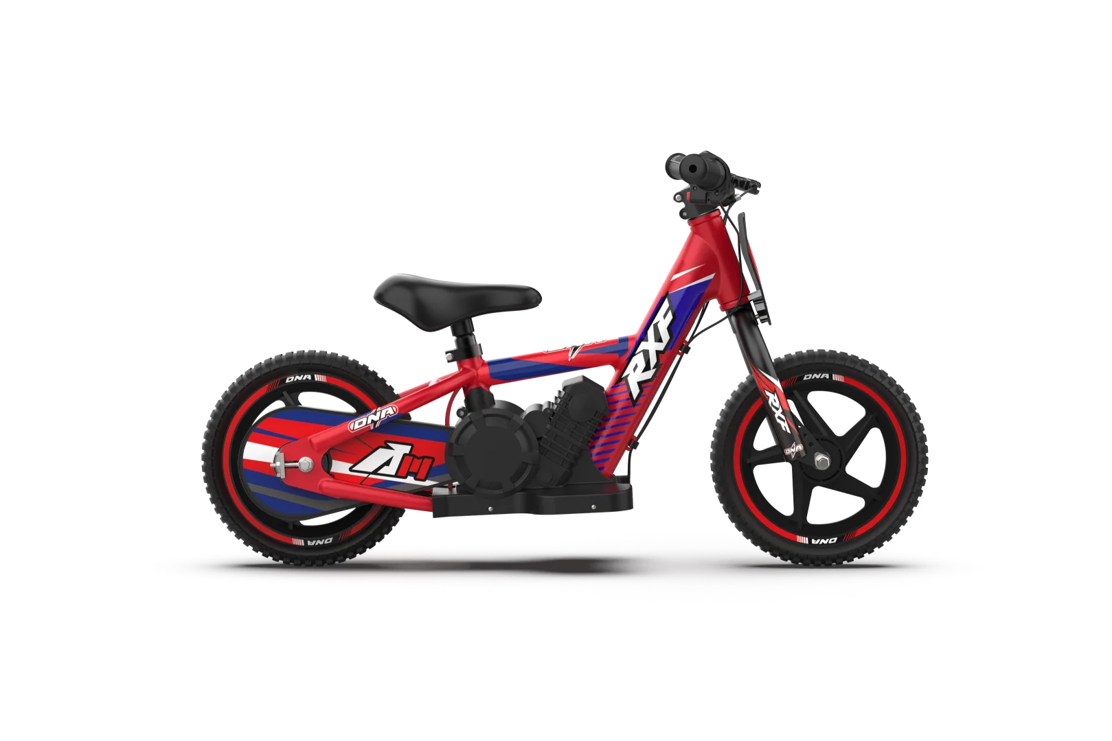 DNA 12